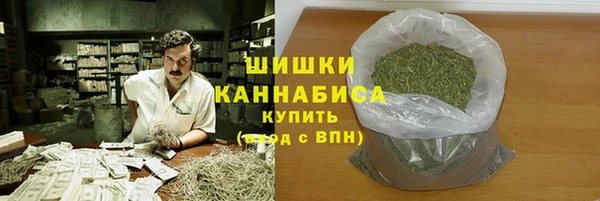 apvp Богородск