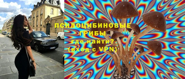 apvp Богородск