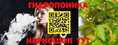 шишки Канаш