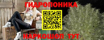 ПСИЛОЦИБИНОВЫЕ ГРИБЫ Камышлов
